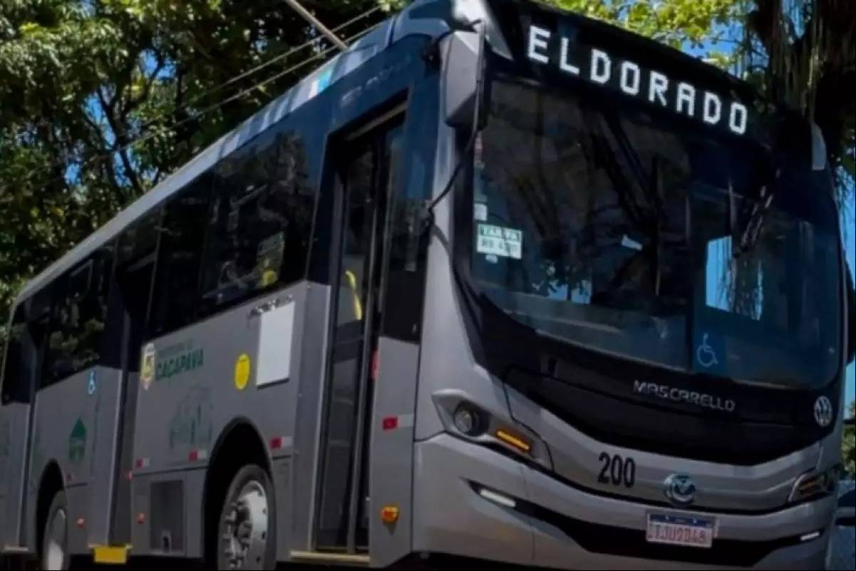 Divulgação