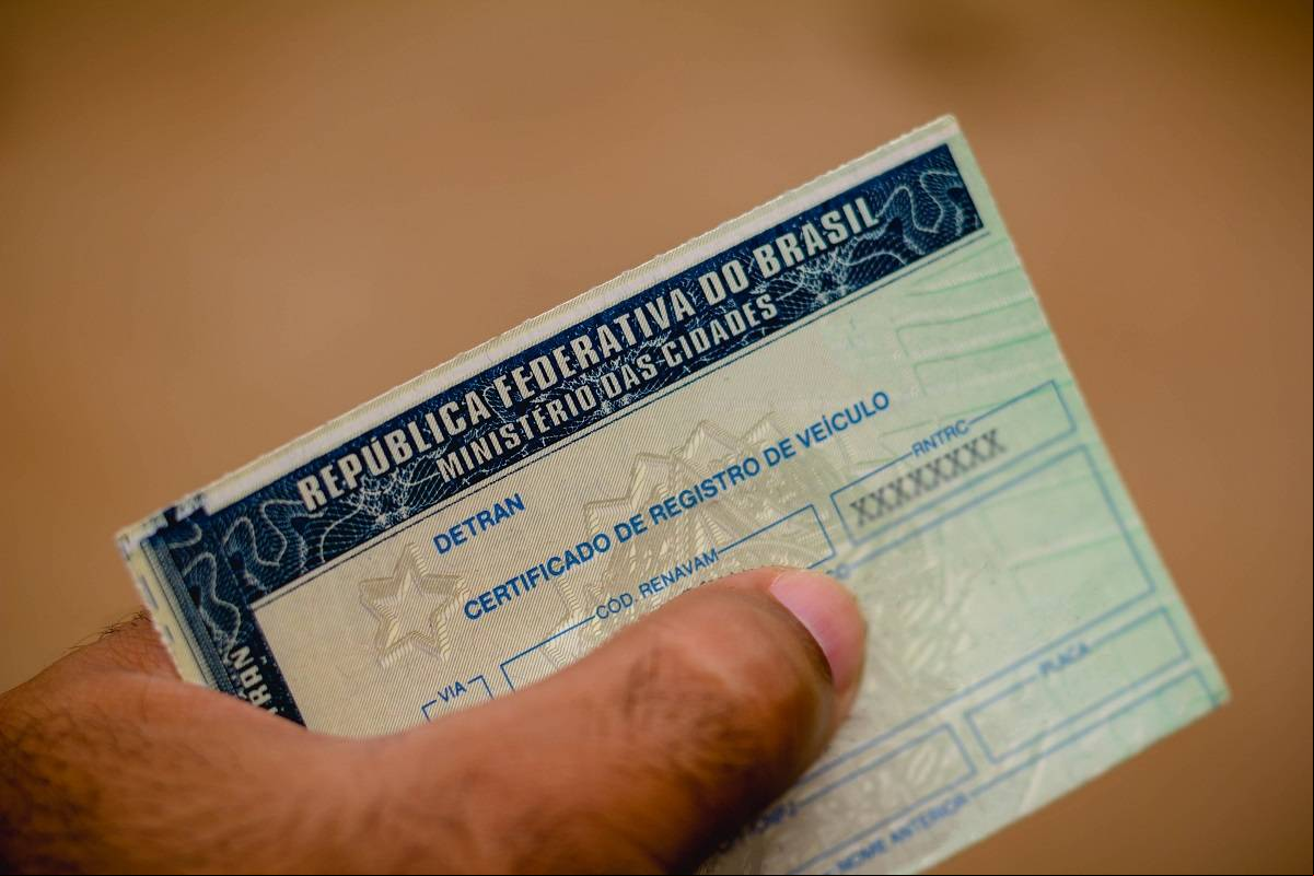 Divulgação