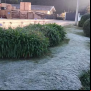 Campos do Jordão registra 1,3°C e tem manhã com geada