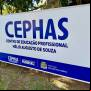 Cephas oferece 2 mil vagas em cursos EAD gratuitos em São José